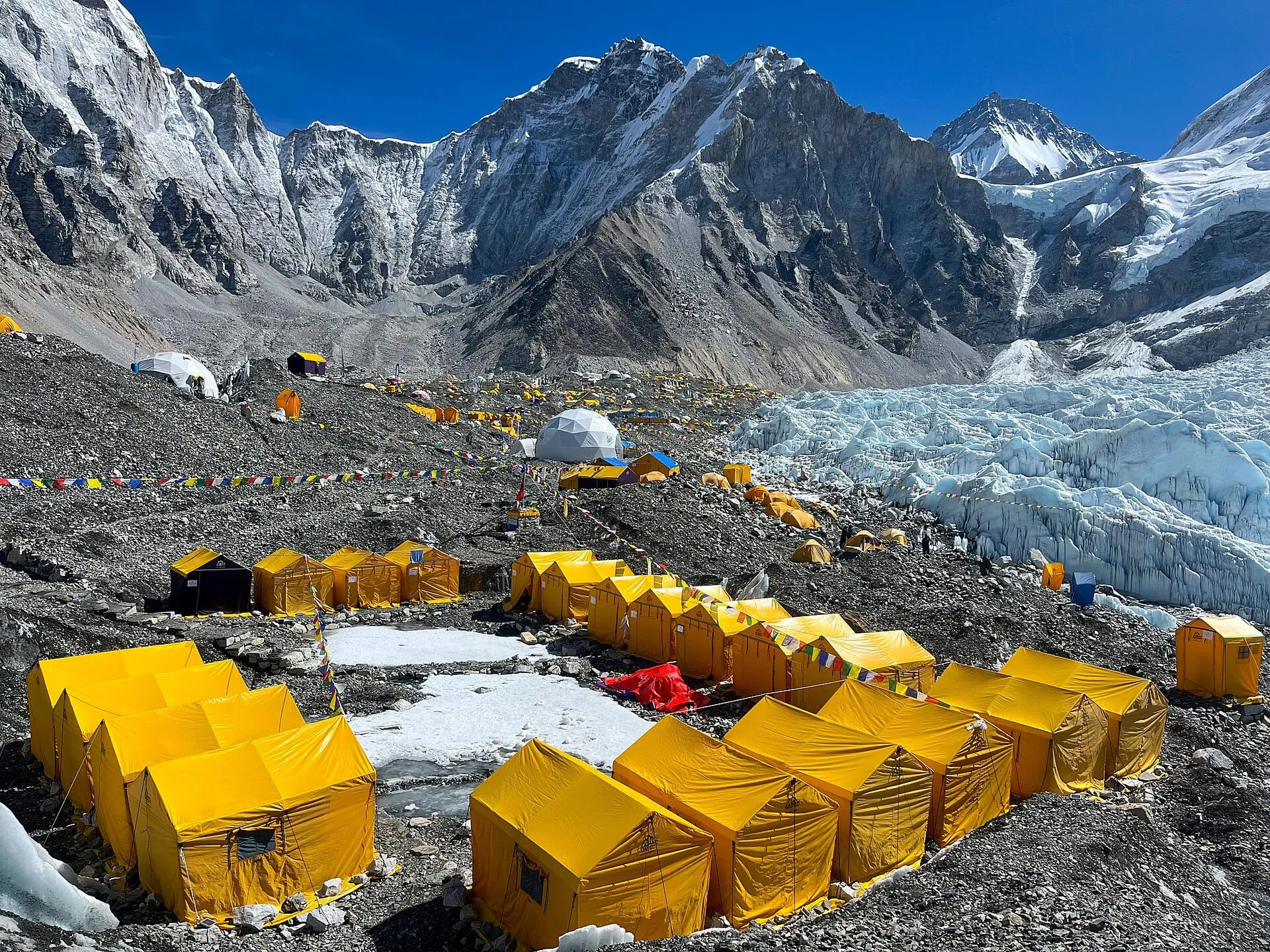 Yellow expedition tents at Everest Base Camp on the Khumbu Glacier