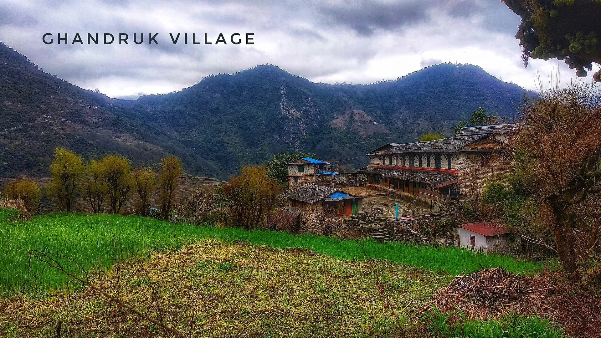 Stone houses of Ghandruk village in the Annapurna foothills