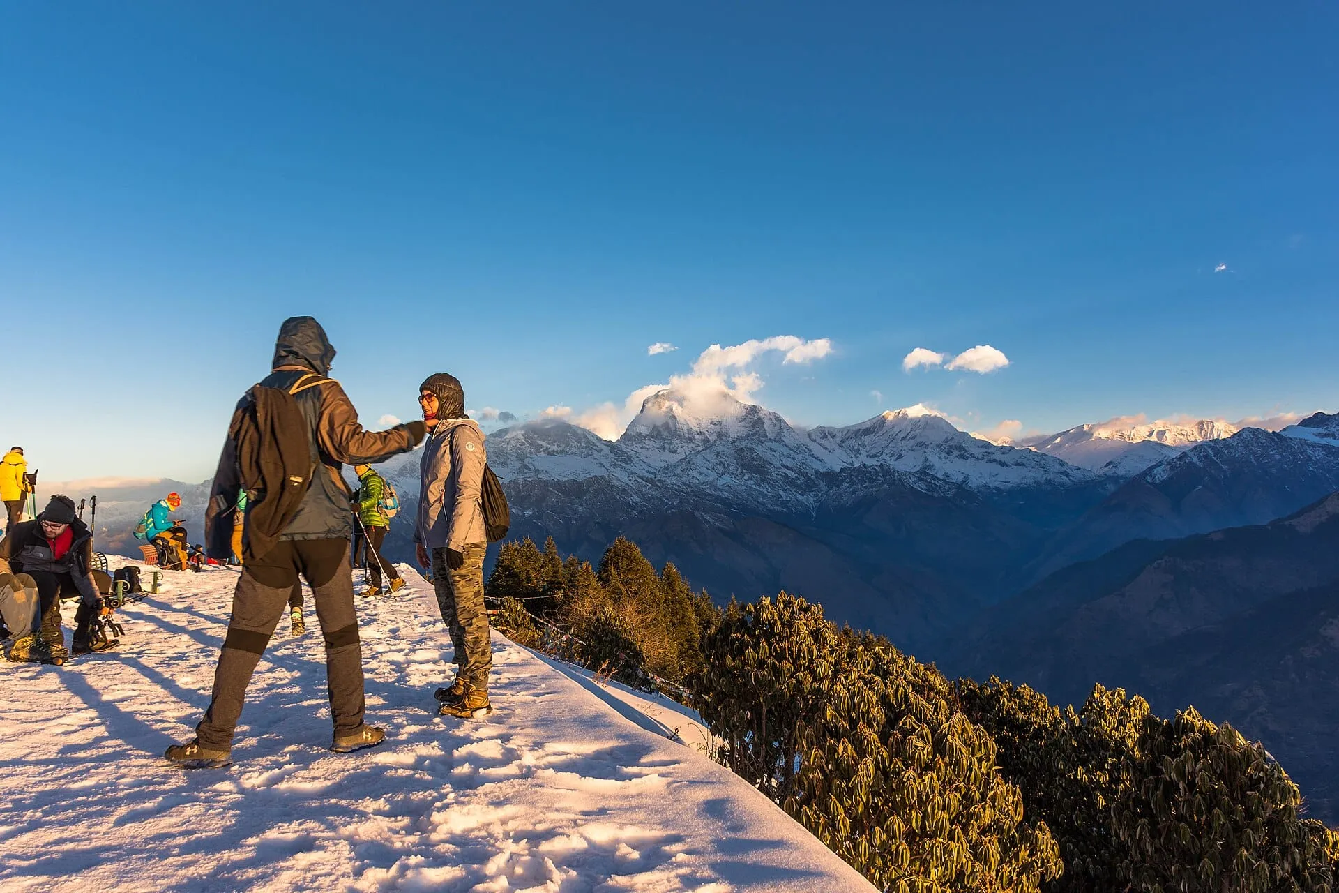 Trail on the Ghorepani Poon Hill trek