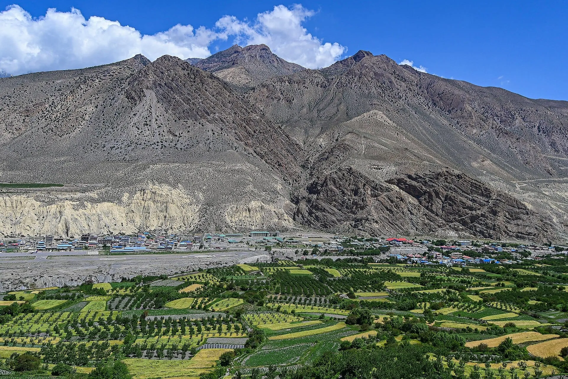 Green barley fields around Lo Manthang in the dry hills of Upper Mustang