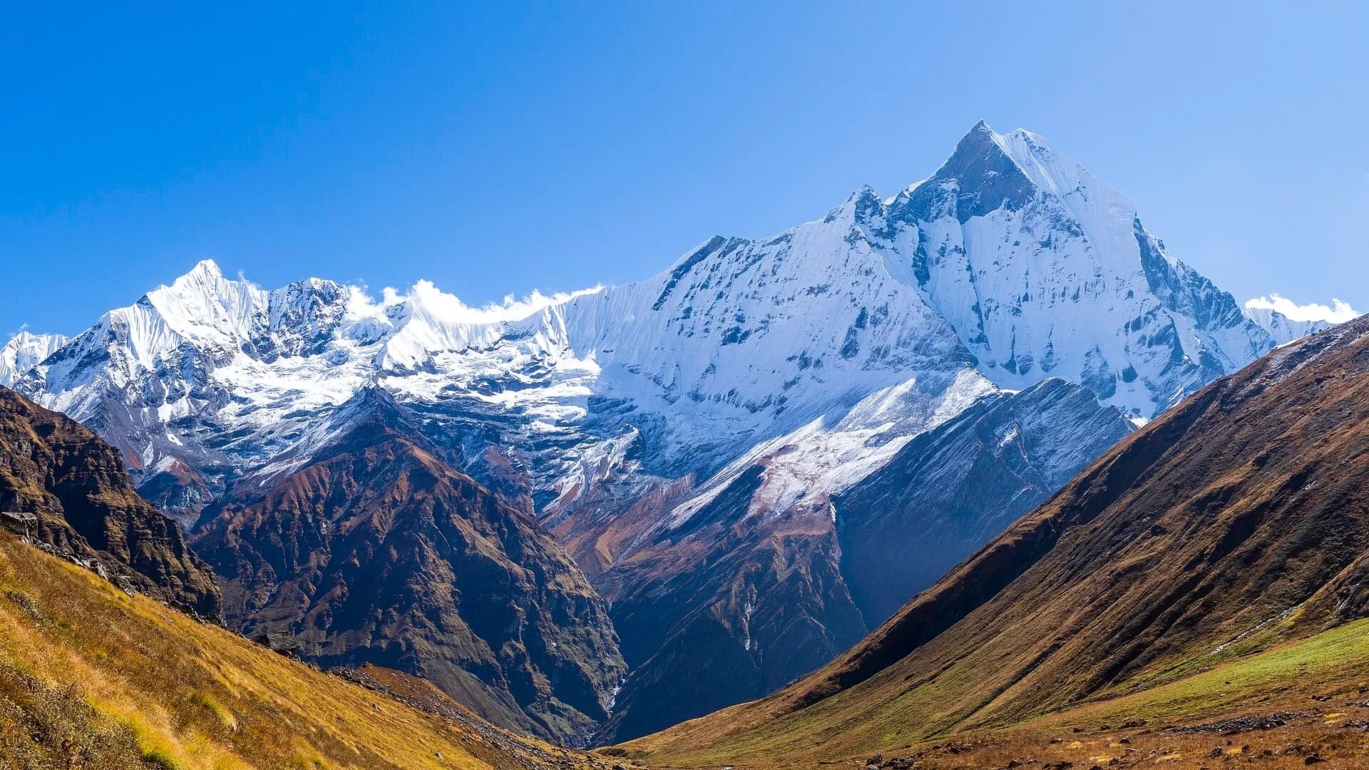 Machhapuchhre (Fishtail Mountain) rising above green Himalayan foothills