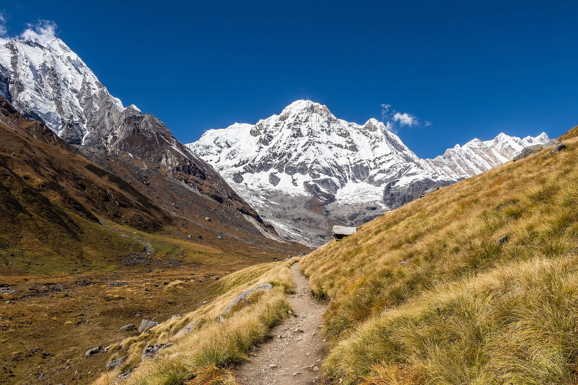 A trail through golden grass toward Mt. Modi (Moditse) near Annapurna Base Camp