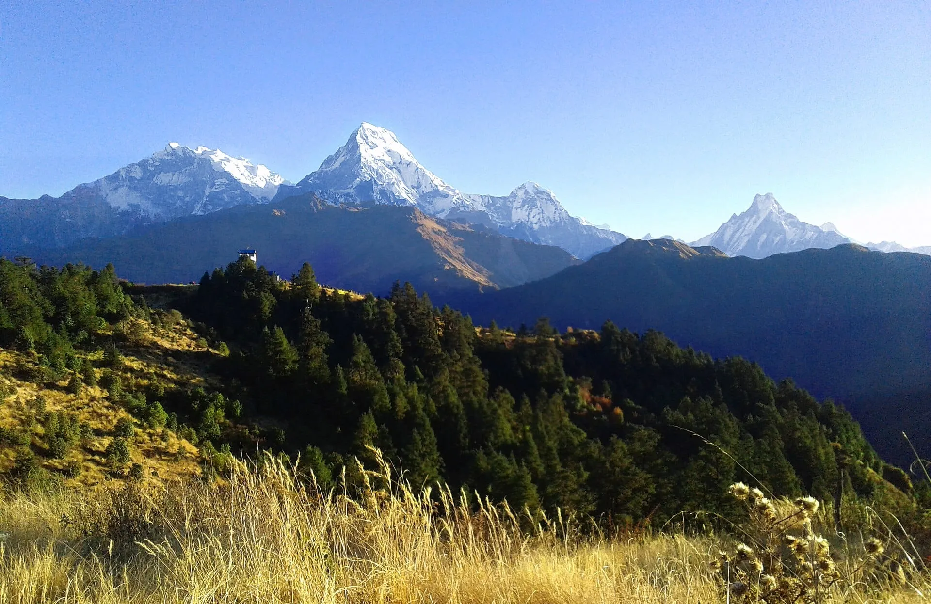 Annapurna South and Machhapuchhre seen across forested ridges from Poon Hill