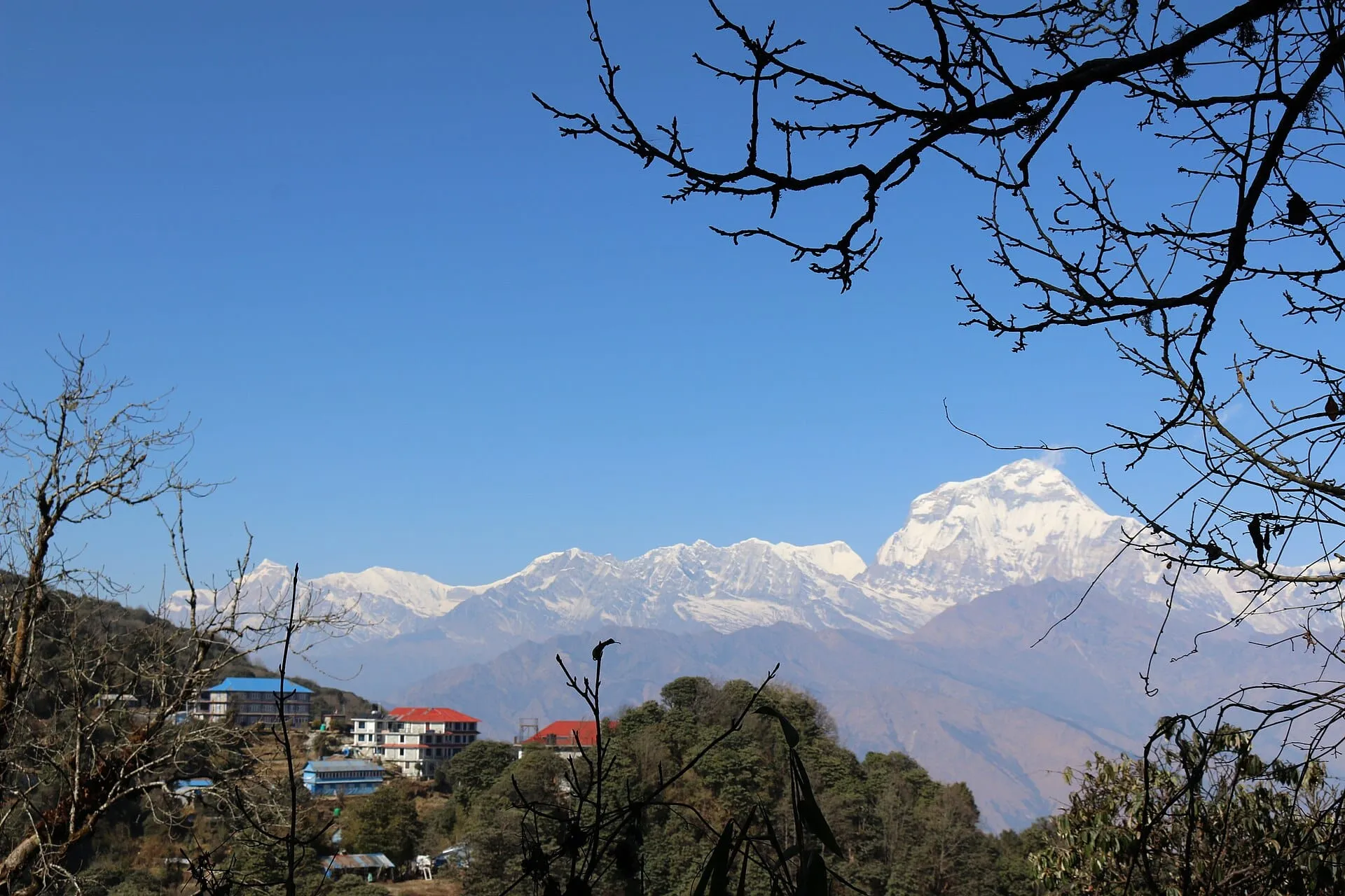 The Poon Hill viewpoint with Mt Dhaulagiri behind